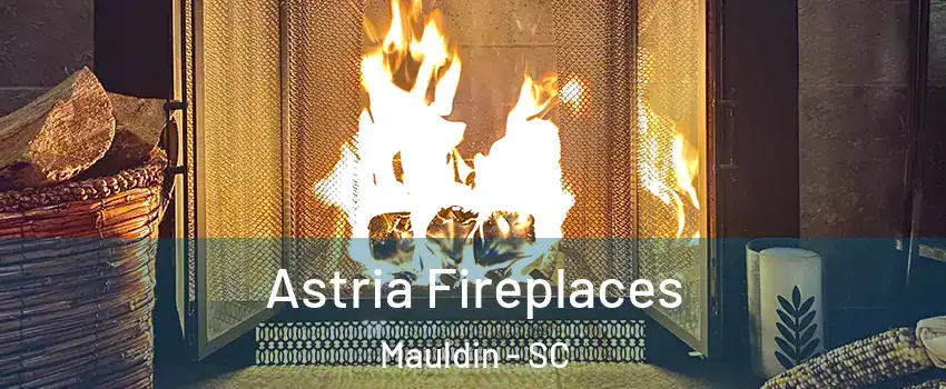  Astria Fireplaces Mauldin - SC