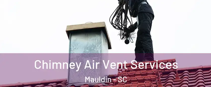  Chimney Air Vent Services Mauldin - SC