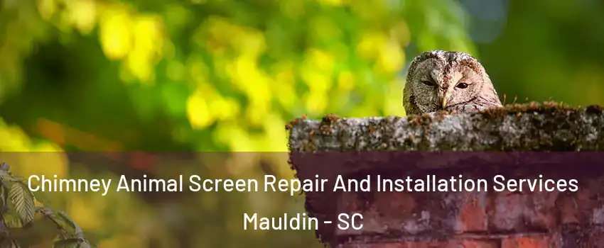  Chimney Animal Screen Repair And Installation Services Mauldin - SC