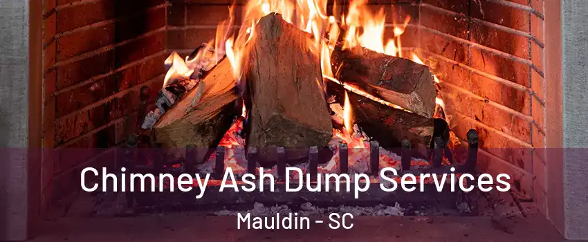  Chimney Ash Dump Services Mauldin - SC