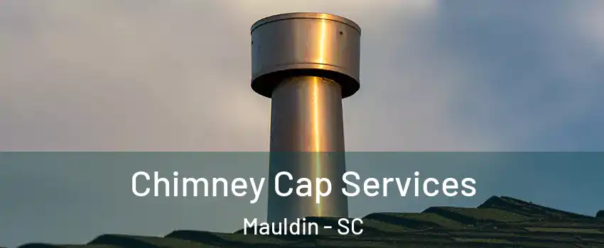  Chimney Cap Services Mauldin - SC