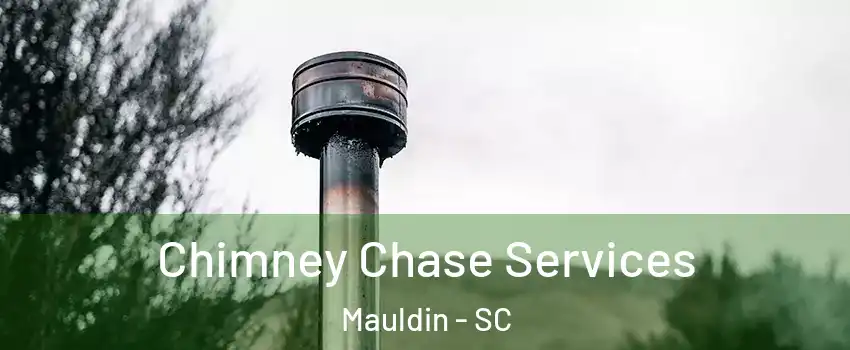  Chimney Chase Services Mauldin - SC