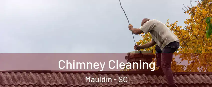  Chimney Cleaning Mauldin - SC