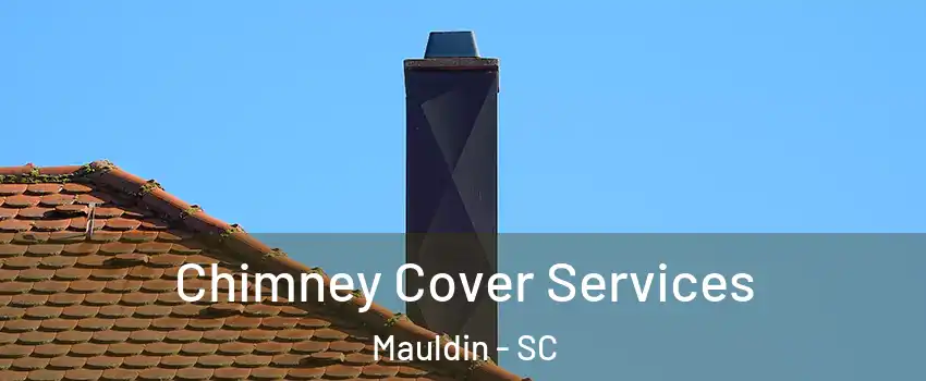  Chimney Cover Services Mauldin - SC