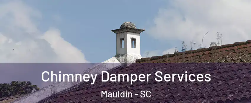  Chimney Damper Services Mauldin - SC