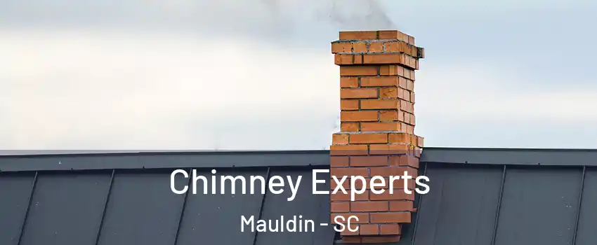 Chimney Experts Mauldin - SC