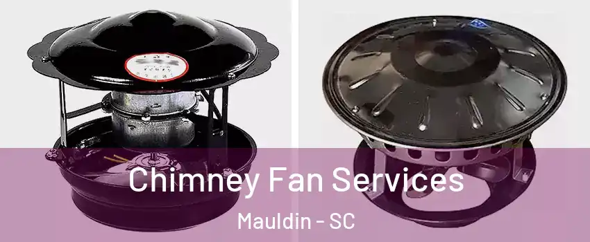  Chimney Fan Services Mauldin - SC