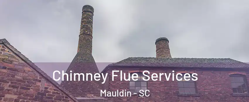  Chimney Flue Services Mauldin - SC
