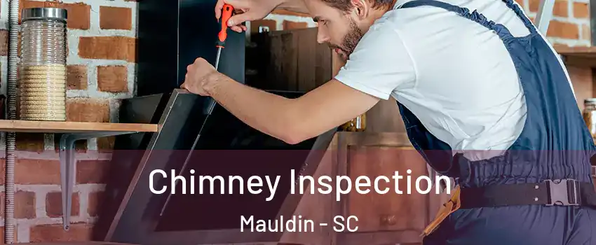  Chimney Inspection Mauldin - SC