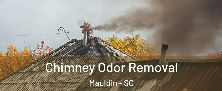  Chimney Odor Removal Mauldin - SC