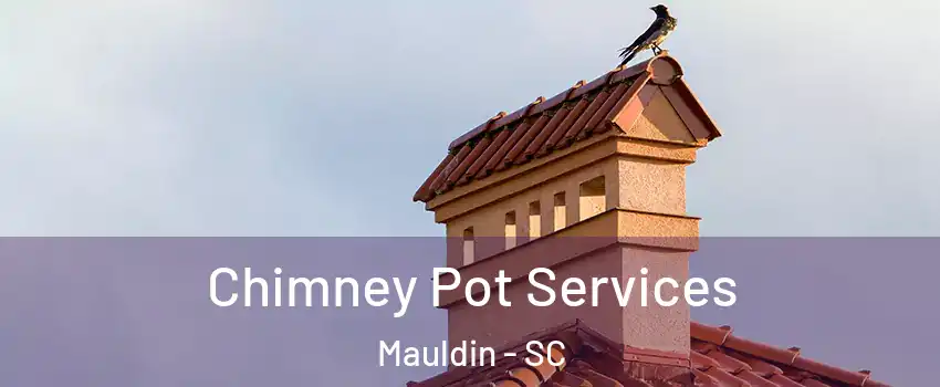  Chimney Pot Services Mauldin - SC