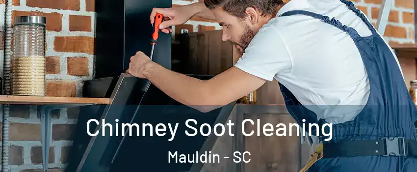  Chimney Soot Cleaning Mauldin - SC