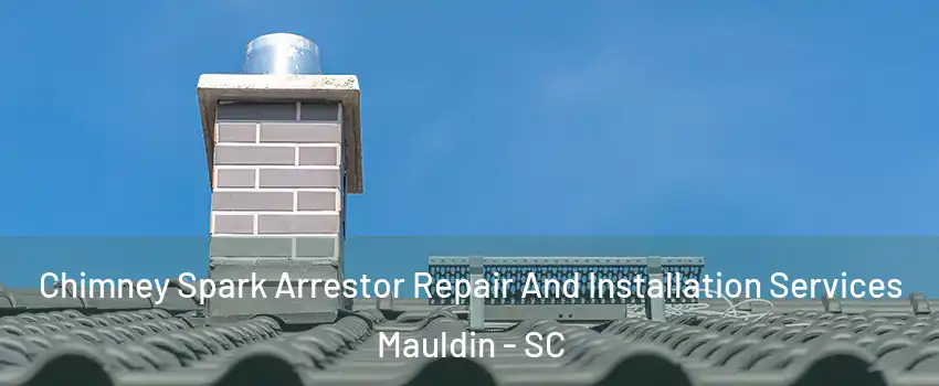  Chimney Spark Arrestor Repair And Installation Services Mauldin - SC