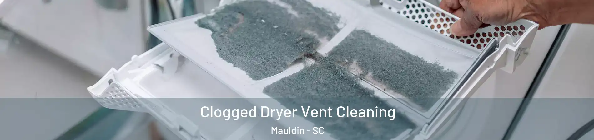  Clogged Dryer Vent Cleaning Mauldin - SC