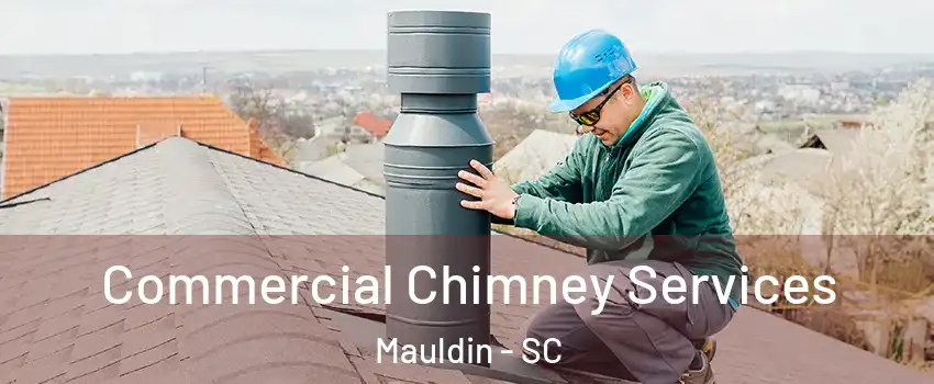  Commercial Chimney Services Mauldin - SC