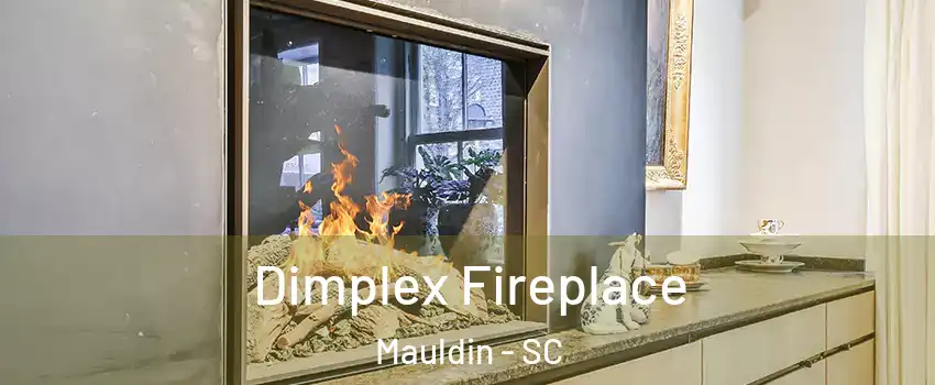  Dimplex Fireplace Mauldin - SC