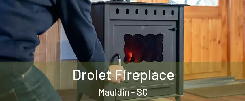  Drolet Fireplace Mauldin - SC
