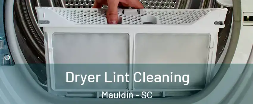  Dryer Lint Cleaning Mauldin - SC