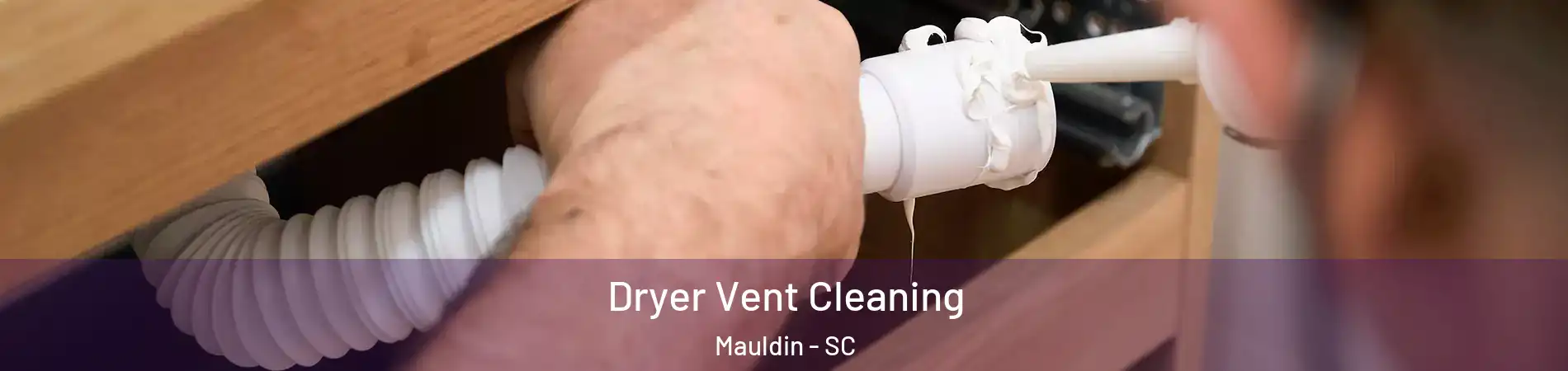  Dryer Vent Cleaning Mauldin - SC