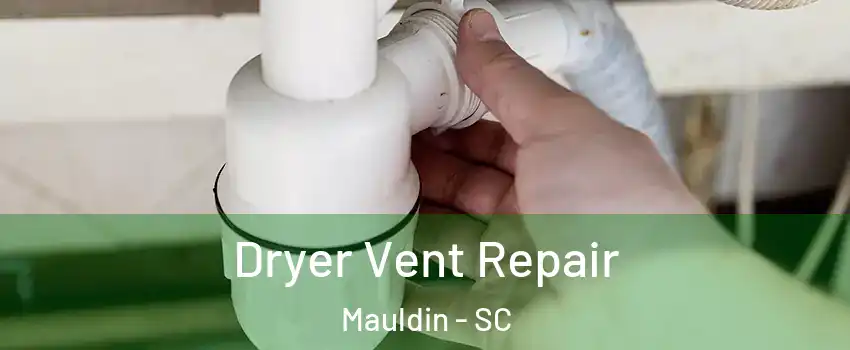 Dryer Vent Repair Mauldin - SC