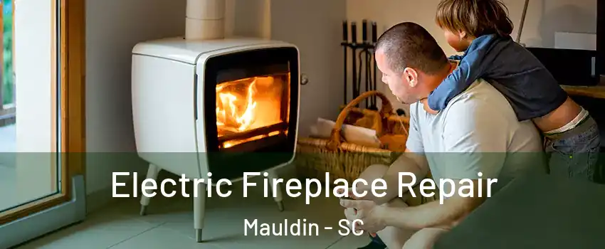  Electric Fireplace Repair Mauldin - SC