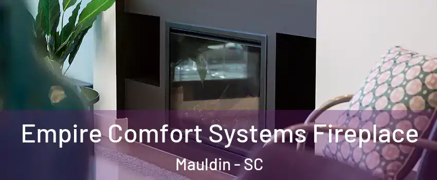  Empire Comfort Systems Fireplace Mauldin - SC