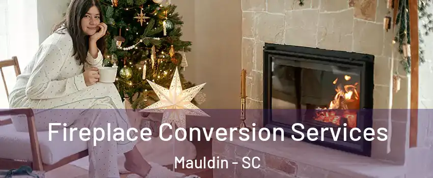  Fireplace Conversion Services Mauldin - SC