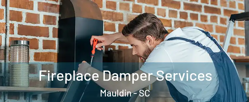  Fireplace Damper Services Mauldin - SC