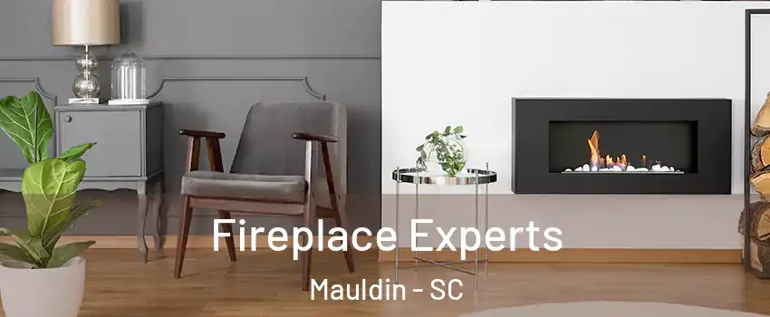  Fireplace Experts Mauldin - SC