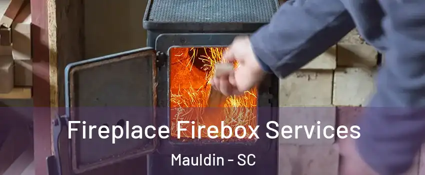  Fireplace Firebox Services Mauldin - SC