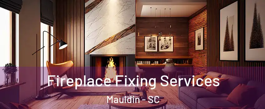  Fireplace Fixing Services Mauldin - SC
