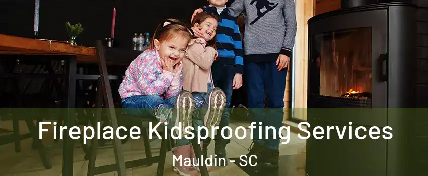  Fireplace Kidsproofing Services Mauldin - SC