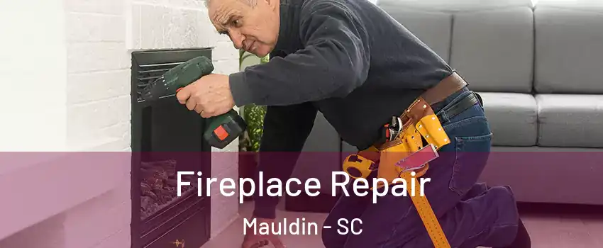  Fireplace Repair Mauldin - SC