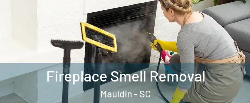  Fireplace Smell Removal Mauldin - SC