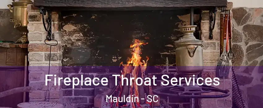  Fireplace Throat Services Mauldin - SC