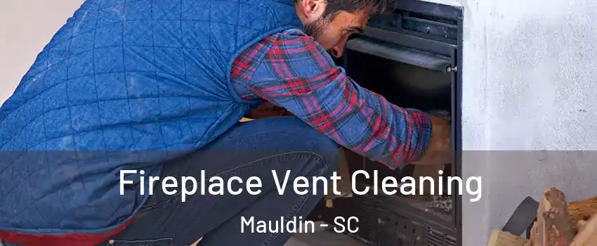  Fireplace Vent Cleaning Mauldin - SC