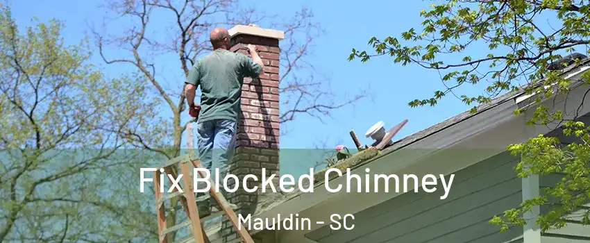 Fix Blocked Chimney Mauldin - SC