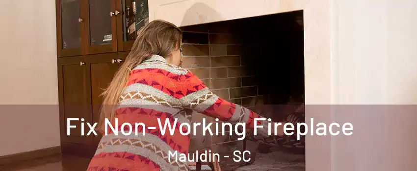  Fix Non-Working Fireplace Mauldin - SC