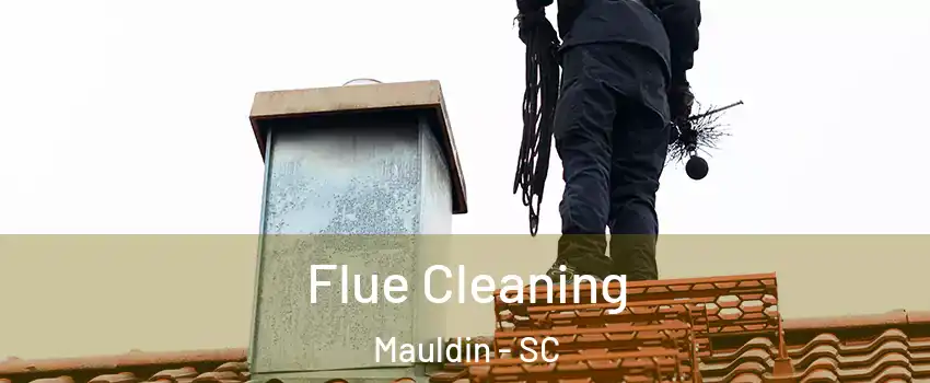  Flue Cleaning Mauldin - SC