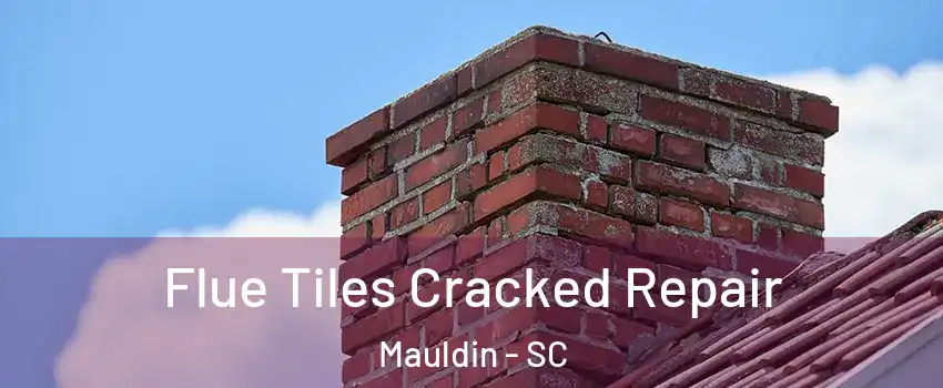  Flue Tiles Cracked Repair Mauldin - SC