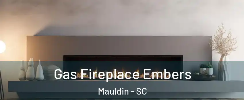  Gas Fireplace Embers Mauldin - SC