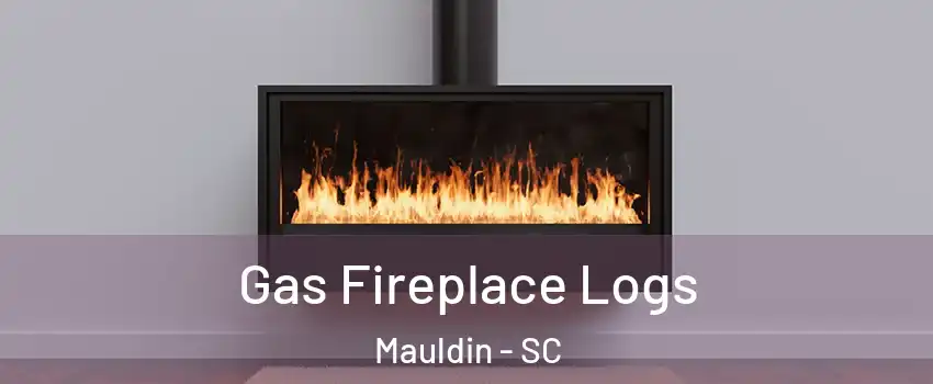  Gas Fireplace Logs Mauldin - SC