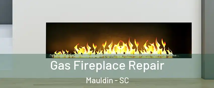  Gas Fireplace Repair Mauldin - SC