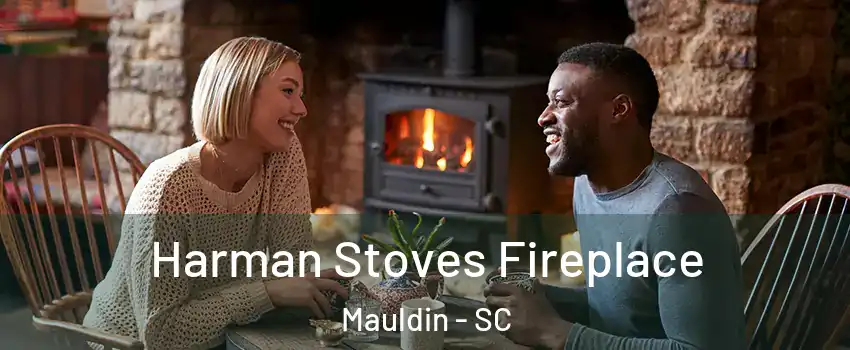  Harman Stoves Fireplace Mauldin - SC