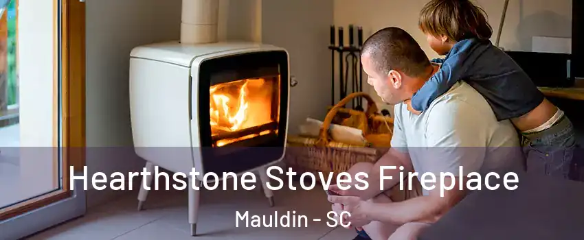  Hearthstone Stoves Fireplace Mauldin - SC