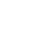 Professional Chimney Flue Installation in Mauldin, South Carolina