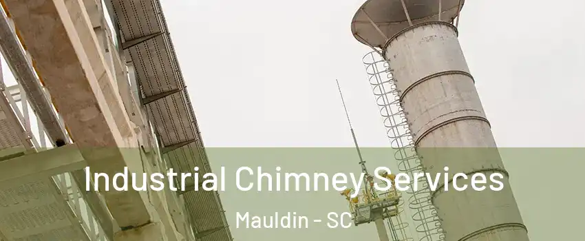  Industrial Chimney Services Mauldin - SC
