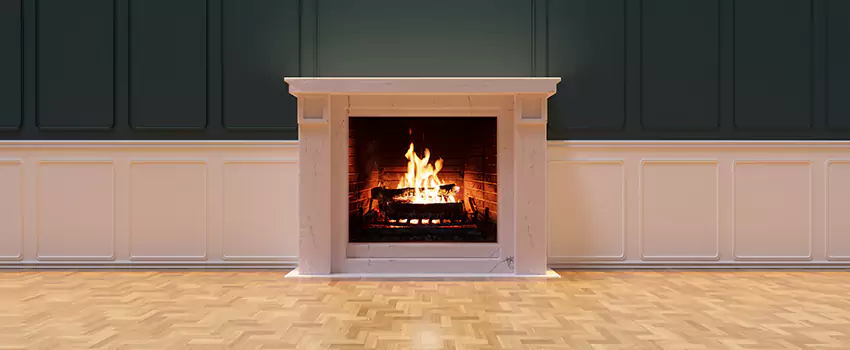Napoleon Electric Fireplaces Inspection Service in Mauldin, South Carolina