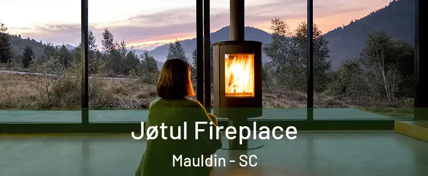  Jøtul Fireplace Mauldin - SC