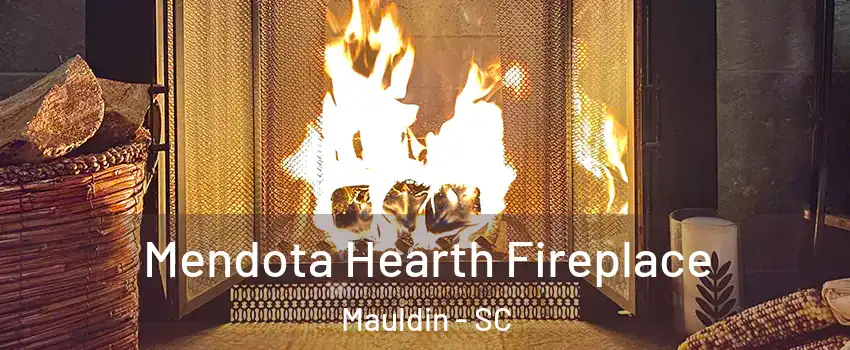  Mendota Hearth Fireplace Mauldin - SC